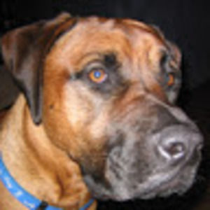 Meet your Posher, Jordan